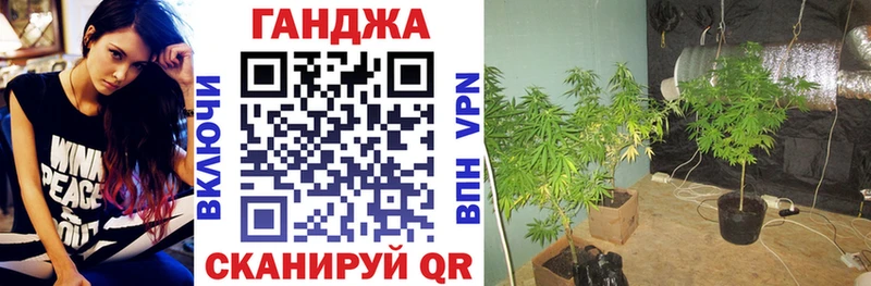 Шишки марихуана планчик  Славск 